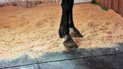 Rubberen staltegels en stalmatten