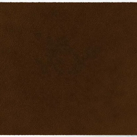 ColorStar Earth binnendeurmat-walnoot-85x115 cm