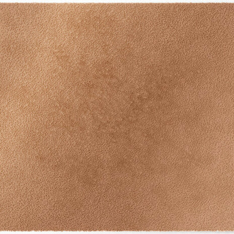 ColorStar Earth binnendeurmat-lichtbruin-85x115 cm
