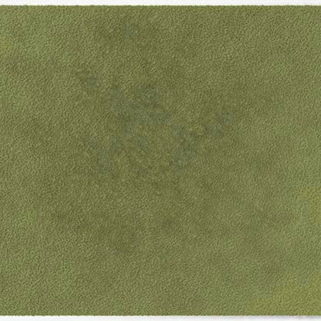 ColorStar Forest binnendeurmat-light-sage-60x85 cm