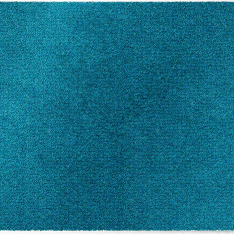 ColorStar- Sea- binnendeurmat-turkoois-60x85 cm