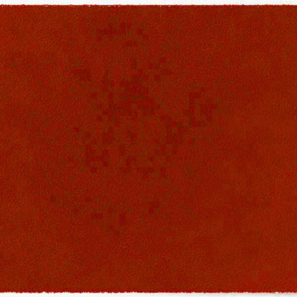 ColorStar Earth binnendeurmat-terracotta-85x150 cm