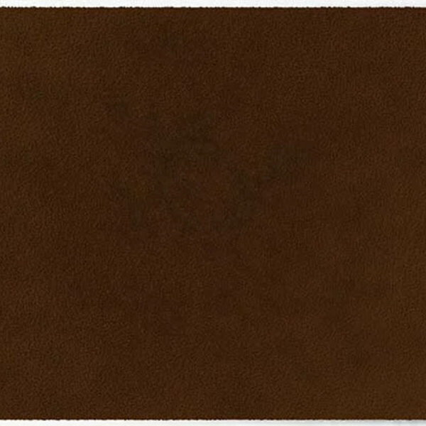 ColorStar Earth binnendeurmat-walnoot-60x85 cm
