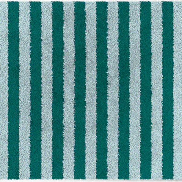 ColorStar- Stripes- binnendeurmat-lichtblauw-groen-60x85 cm