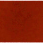 ColorStar Earth binnendeurmat-terracotta-60x85 cm
