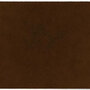 ColorStar Earth binnendeurmat-walnoot-85x150 cm