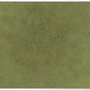ColorStar Forest binnendeurmat-light-sage-60x85 cm