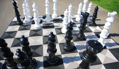 Buitenschaakbord met velden 44x44 cm