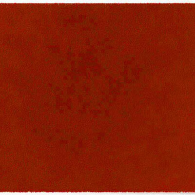 ColorStar Earth- binnendeurmat-terracotta-85x115 cm