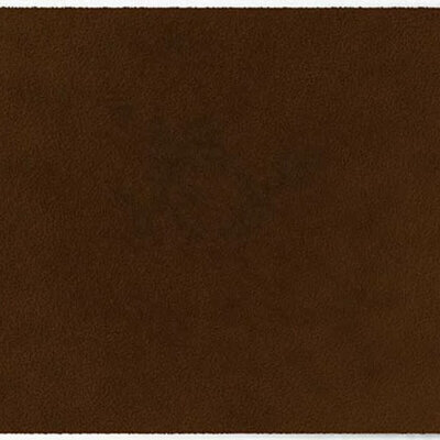 ColorStar Earth- binnendeurmat-walnoot-85x150 cm