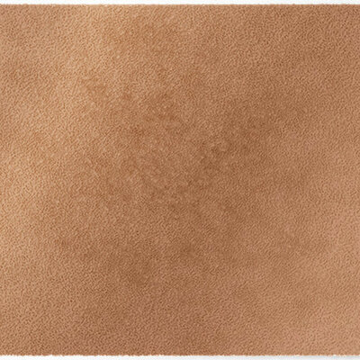 ColorStar Earth- binnendeurmat-lichtbruin-85x115 cm