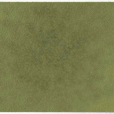 ColorStar Forest- binnendeurmat-light-sage-85x150 cm