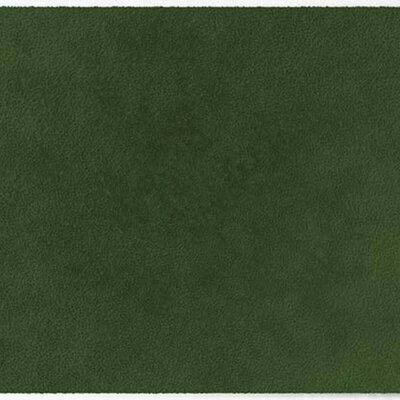 ColorStar Forest- binnendeurmat-olive-60x85 cm