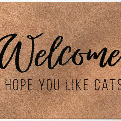 ColorStar-I Hope you like cats- binnendeurmat-kameel-85x150 cm