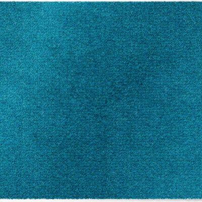 ColorStar-Sea- binnendeurmat-turkoois-60x85 cm